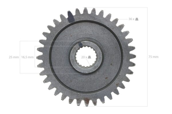 Ingranaggio 36TX20T