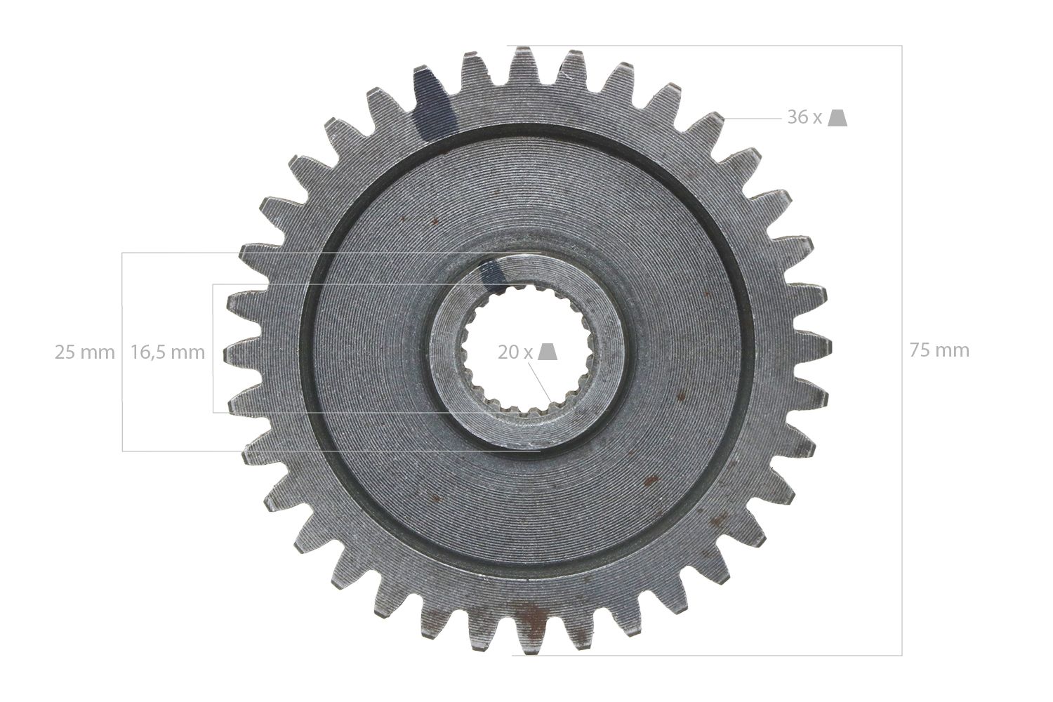 Ingranaggio 36TX20T
