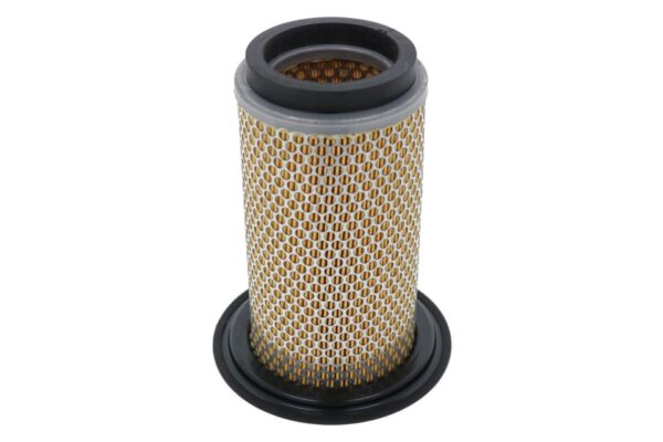 Filtro aria Iseki, TF19, TF21, TF317, TF321, TF325, Sial 19, Sial 21, Massey Ferguson, 1120, 1210, 1220, - immagine 3