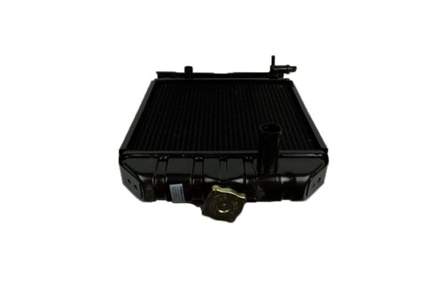 Radiatore Iseki TS1610, TS1910, TS2210 - immagine 5