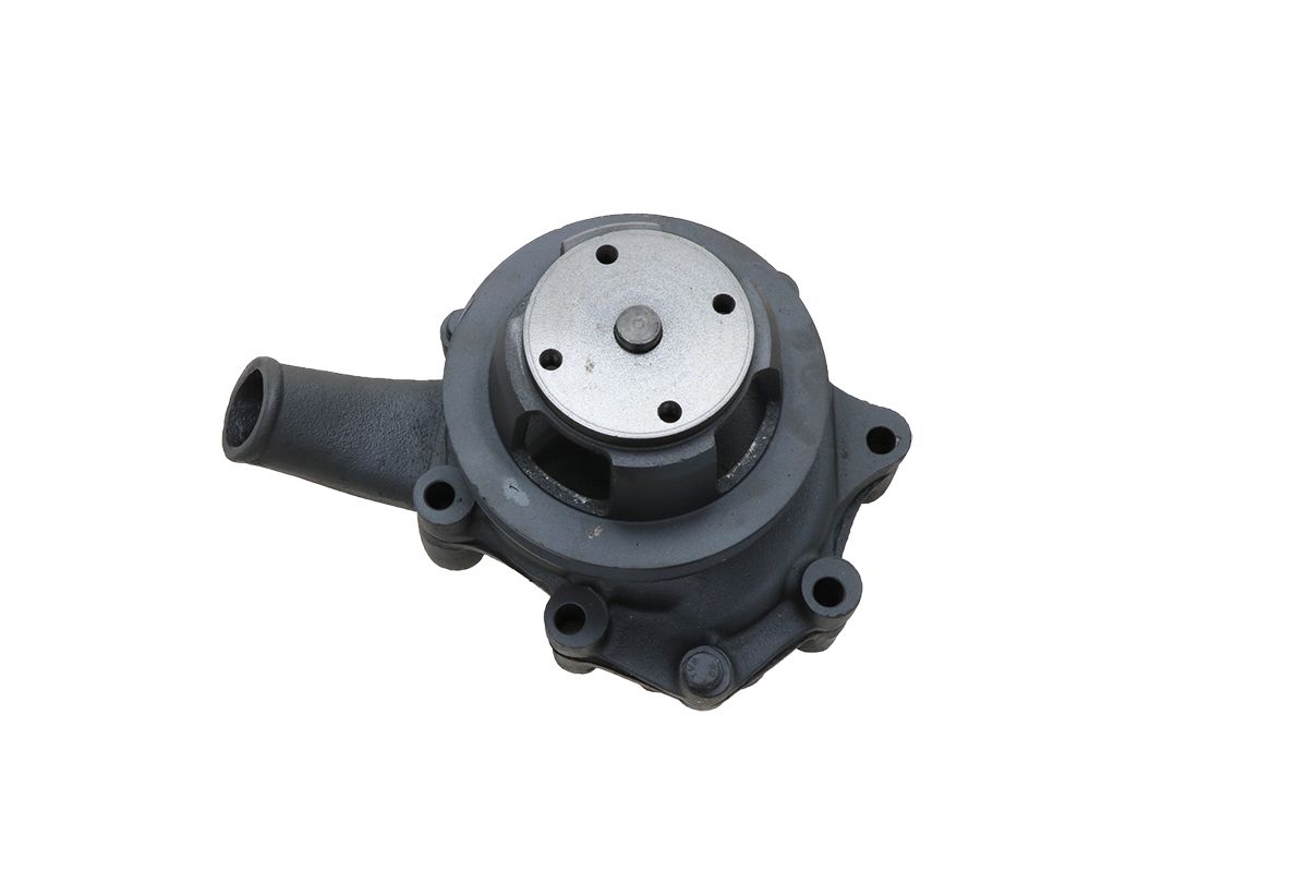Pompa acqua Ford, New-Holland Motore BSD330, BSD444, BSD332, BSD442, BSD326, BSD442T, BSD333, BSD438, BSD329, BSD444T