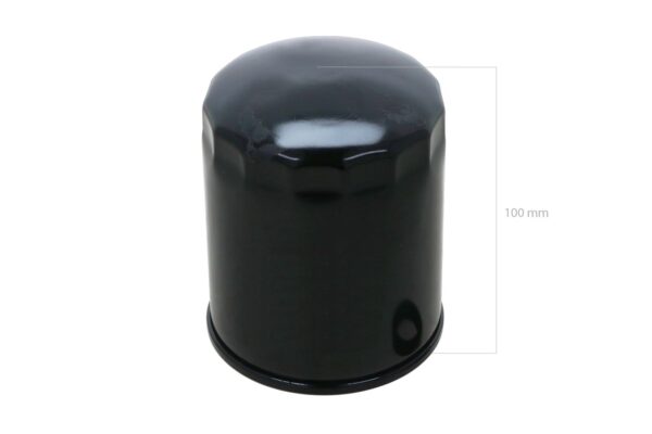 Filtro del carburante Spin-on Captain, Startrac, Antonio Carraro, Solis, Etc., - immagine 3