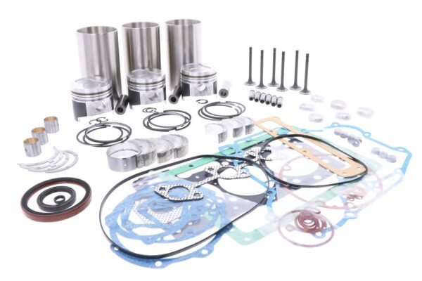 Kit di revisione motore Kubota D1105