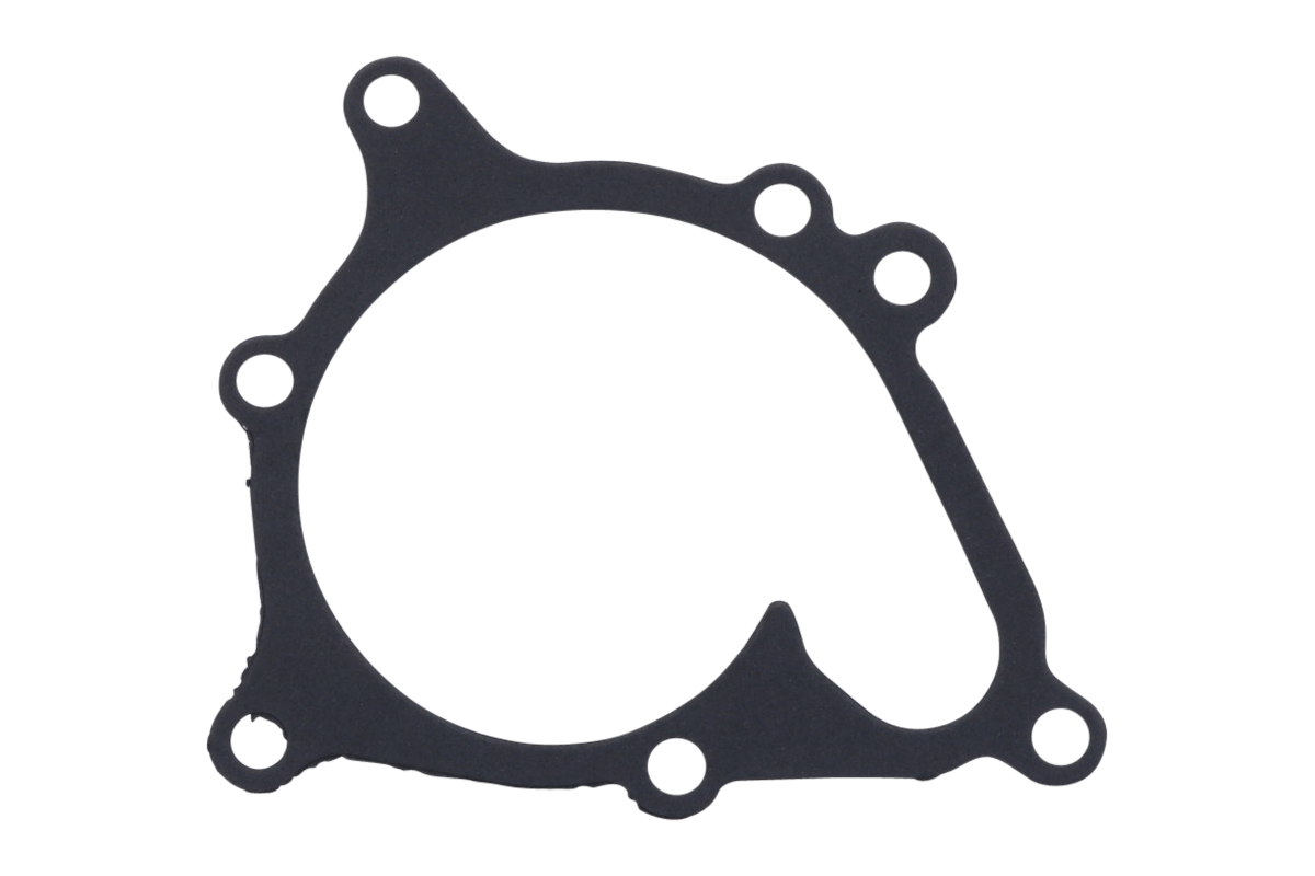 Guarnizione pompa acqua Iseki TA, TE, TL, TU, Massey Ferguson 1125, 1140, 1145, 1240, 1250, 1260, White FB31