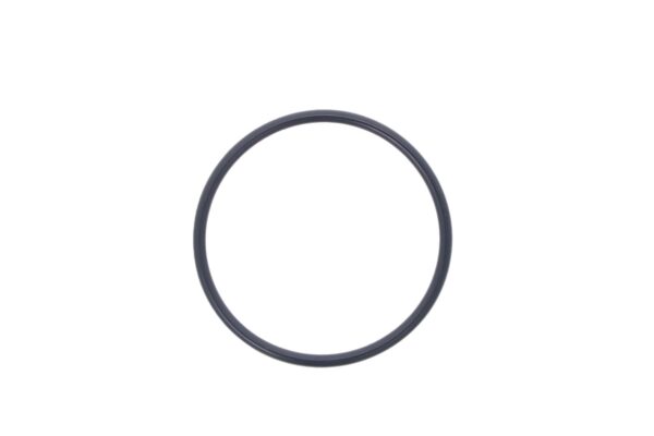 O-ring Iseki 55mm - immagine 2