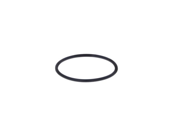 O-ring Iseki 55mm - immagine 3