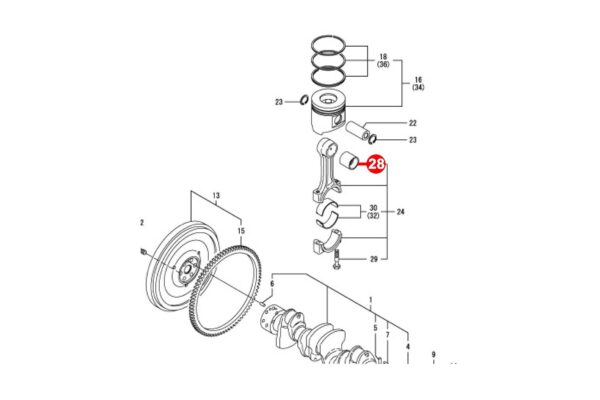 Boccola Biella STD Yanmar 4TNE92, 4TNE94, 4TNE98, 4TNV92, 4TNV94, 4TNV98, Komatsu 4D92E, 4D94E, 4D98E, S4D98E, - immagine 3