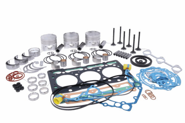 Kit di Revisione Motore Kubota D905, Airman, Bobcat, Hinomoto, etc.