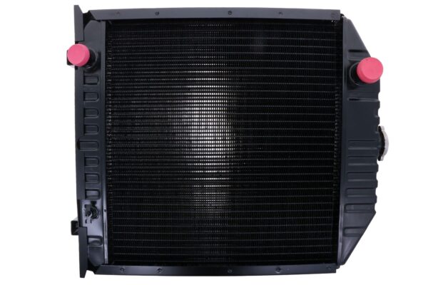 Radiatore Fiat - immagine 6