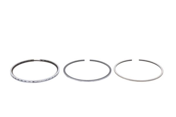 Fasce elastiche Iseki E3112 - immagine 2