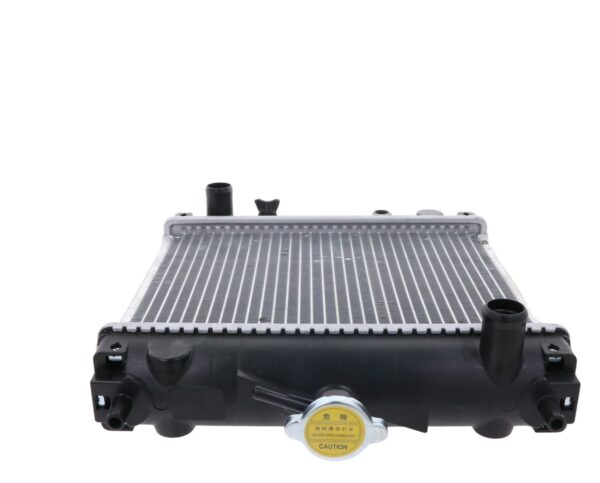 Radiatore Aixam, Trime - immagine 4