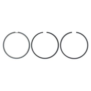 Set anelli pistine  Yanmar YM169, YM180, YM186, YM187, YM1401, YM1410, YM1502, YM1510, F15, F14