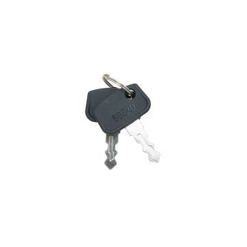 Chiave d'accensione Kubota B, BX, F, G, GR, GZD, RTV, ZD, ZG, ZP, Iseki TH, TM, TLE, TXG, Massey Ferguson, 