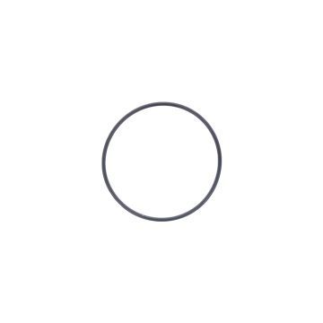 Anello o-anello corpo termostato Iseki, E255, E262, E269, E3100, E3112, E374, E380, E383, E393