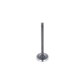 Valvole di aspirazione Mitsubishi MVS3L, MVS3L2, S3L, S3L2, S4L, S4L2, Captain, Startrac, Etc.,