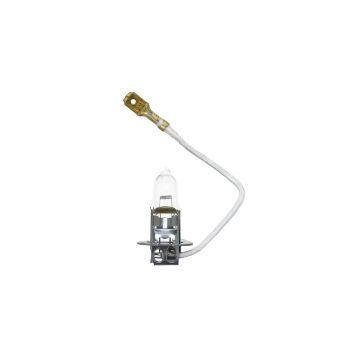 Lampadina 12V-55W Captain 263, 273