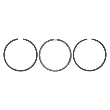 Set anelli pistine 2.5x2x4mm STD Mitsubishi S4S, S6S, Caterpillar, Etc., 